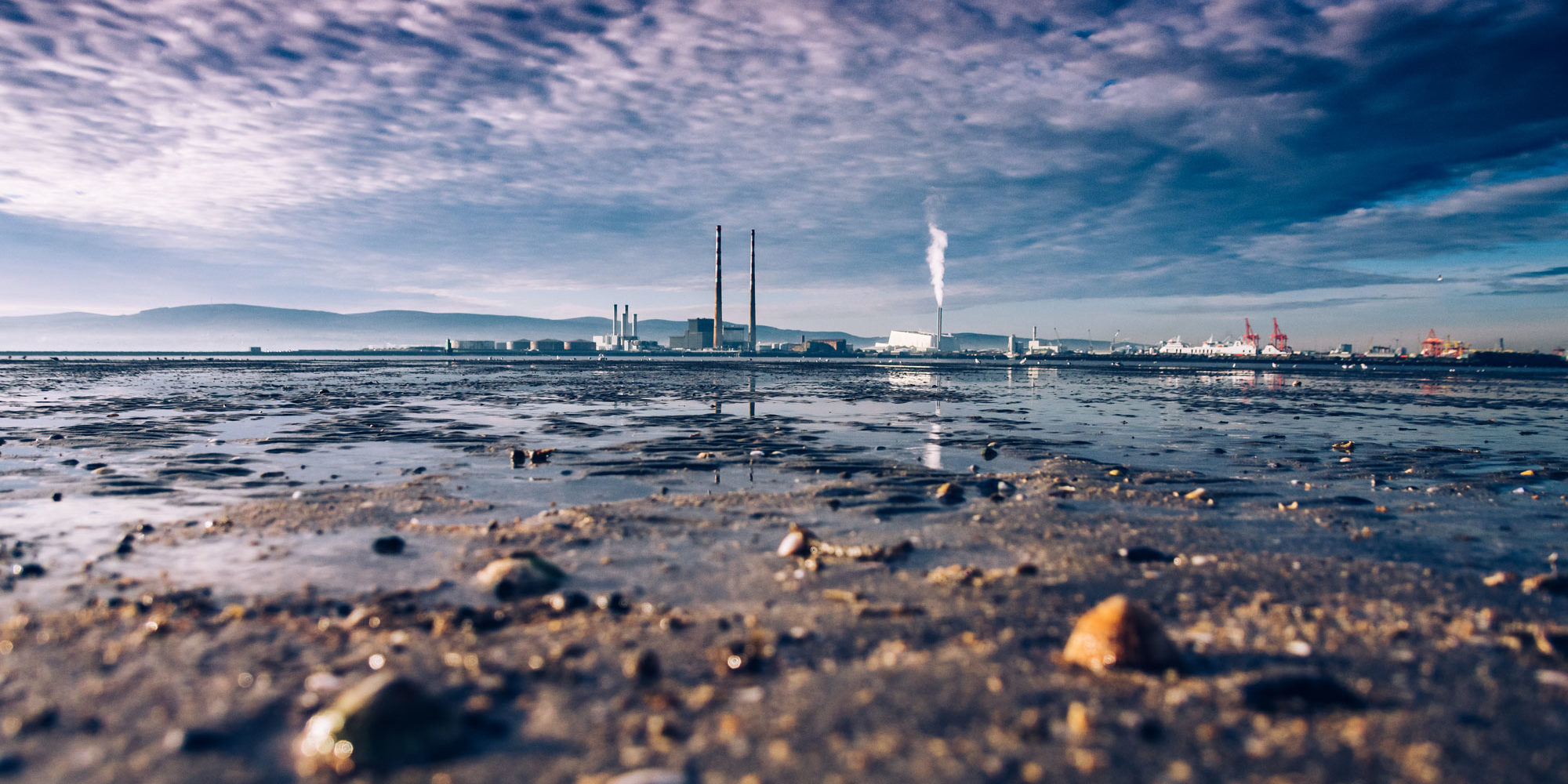 progetto smart plant università