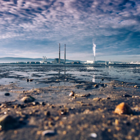 progetto smart plant università