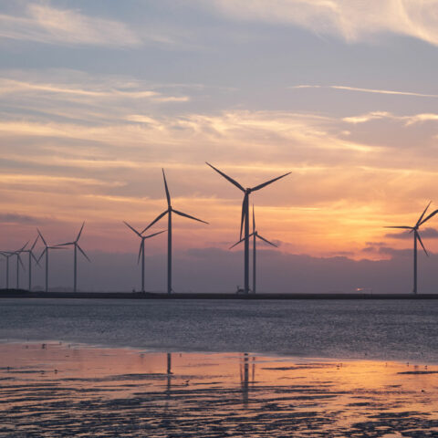 italiani ricerca sostenibilità