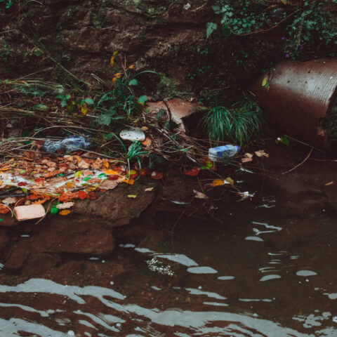 coronavirus waste water treatment