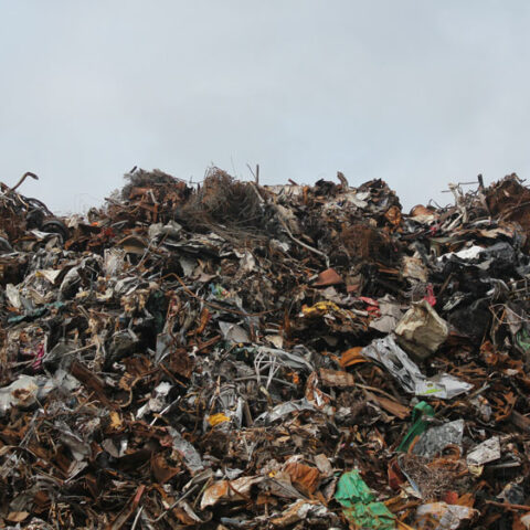 RenTri tracciamento rifiuti