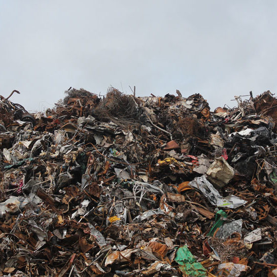 RenTri tracciamento rifiuti