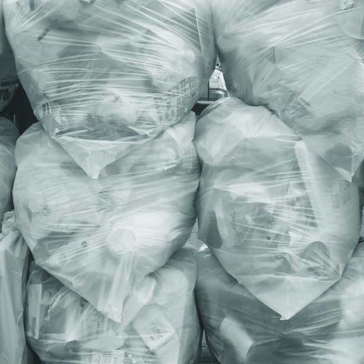 sacchetti di rifiuti plastici