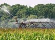 irrigazione in agricoltura